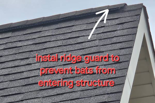 Ridge-Guard Installation