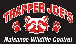 Trapper Joe's Nuisance Wildlife Control, MO